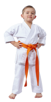 Hinsdale Martial Arts for ages 4 to 8