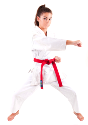 Hinsdale martial arts for ages 9 to 13